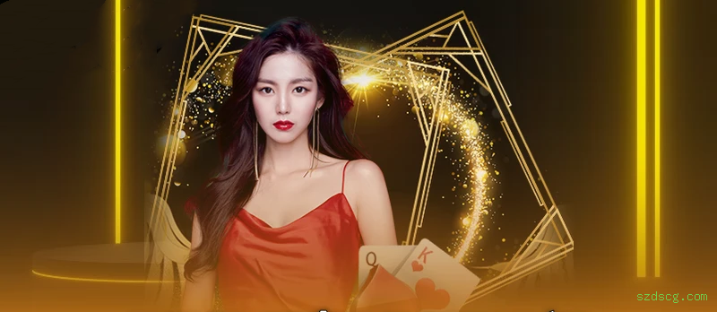 Controles de paJogonto e BRL em szdscg.com